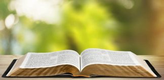 لَسْتُ أَدْعُوكُم بَعْدُ عَبِيدًا، لأَنَّ العَبْدَ لا يَعْلَمُ مَا يَعْمَلُ سَيِّدُهُ، بَلْ دَعَوْتُكُم أَحِبَّاءَ، لأَنِّي أَعْلَمْتُكُم بِكُلِّ مَا سَمِعْتُهُ مِنْ أَبي/I do not call you servants any longer, but friends, because I have made known to you everything that I have heard from my Father