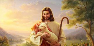 مَنْ لا يَدْخُلُ حَظيرَةَ الخِرَافِ مِنْ بَابِهَا، بَلْ يَتَسَلَّقُ مِنْ مَوْضِعٍ آخَر، فَهُوَ لِصٌّ وسَارِق/Who does not enter the sheepfold by the gate but climbs in by another way is a thief and a bandit