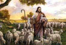 تَعَالَوا إِليَّ يَا جَمِيعَ المُتْعَبِينَ والمُثْقَلِينَ بِالأَحْمَال، وأَنَا أُريْحُكُم. إِحْمِلُوا نِيْري عَلَيْكُم، وكُونُوا لي تَلاميذ، لأَنِّي وَدِيعٌ ومُتَواضِعُ القَلْب، فَتَجِدُوا رَاحَةً لِنُفُوسِكُم/Come to me, all you that are weary and are carrying heavy burdens, and I will give you rest . Take my yoke upon you, and learn from me; for I am gentle and humble in heart, and you will find rest for your souls. For my yoke is easy, and my burden is light