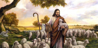 تَعَالَوا إِليَّ يَا جَمِيعَ المُتْعَبِينَ والمُثْقَلِينَ بِالأَحْمَال، وأَنَا أُريْحُكُم. إِحْمِلُوا نِيْري عَلَيْكُم، وكُونُوا لي تَلاميذ، لأَنِّي وَدِيعٌ ومُتَواضِعُ القَلْب، فَتَجِدُوا رَاحَةً لِنُفُوسِكُم/Come to me, all you that are weary and are carrying heavy burdens, and I will give you rest . Take my yoke upon you, and learn from me; for I am gentle and humble in heart, and you will find rest for your souls. For my yoke is easy, and my burden is light