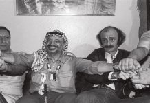 السفير هشام حمدان: الى وليد جنبلاط … من انت؟