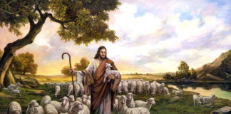 قالَ الرَبُّ يَسوع: أَلحَقَّ ٱلحَقَّ أَقُولُ لَكُم: أَنَا هُوَ بَابُ الخِرَاف. جَمِيعُ الَّذينَ أَتَوا قَبْلِي هُمْ سَارِقُونَ ولُصُوص، ولَمْ تَسْمَعْ لَهُمُ الخِرَاف/I am the gate for the sheep. All who came before me are thieves and bandits; but the sheep did not listen to them