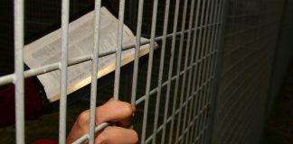 ‘Innocent People Cowardly Killed’: The Persecution of Christians, September 2025Raymond Ibrahim/Gatestone Institute/اعداد رموند إبراهيم، نقلاً عن موقع معهد غايتستون: بجبن يتم قتل الأبرياء…قائمة مفصلة بوقائع اضطهاد المسيحيين في العديد من الدول خلال شهر أيلول لسنة 2025