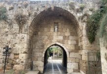 راي زيتوني/نعم، أنا ماروني من أصول كنعانية فنيقية/Ray Zaitouny: Yes, I am a Maronite of Canaanite-Phoenician origin