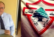 شبل الزغبي/لبنان بين فشل المنظومة وثورة الإنقاذ إمّا ننهض أو نسقط جميعاً